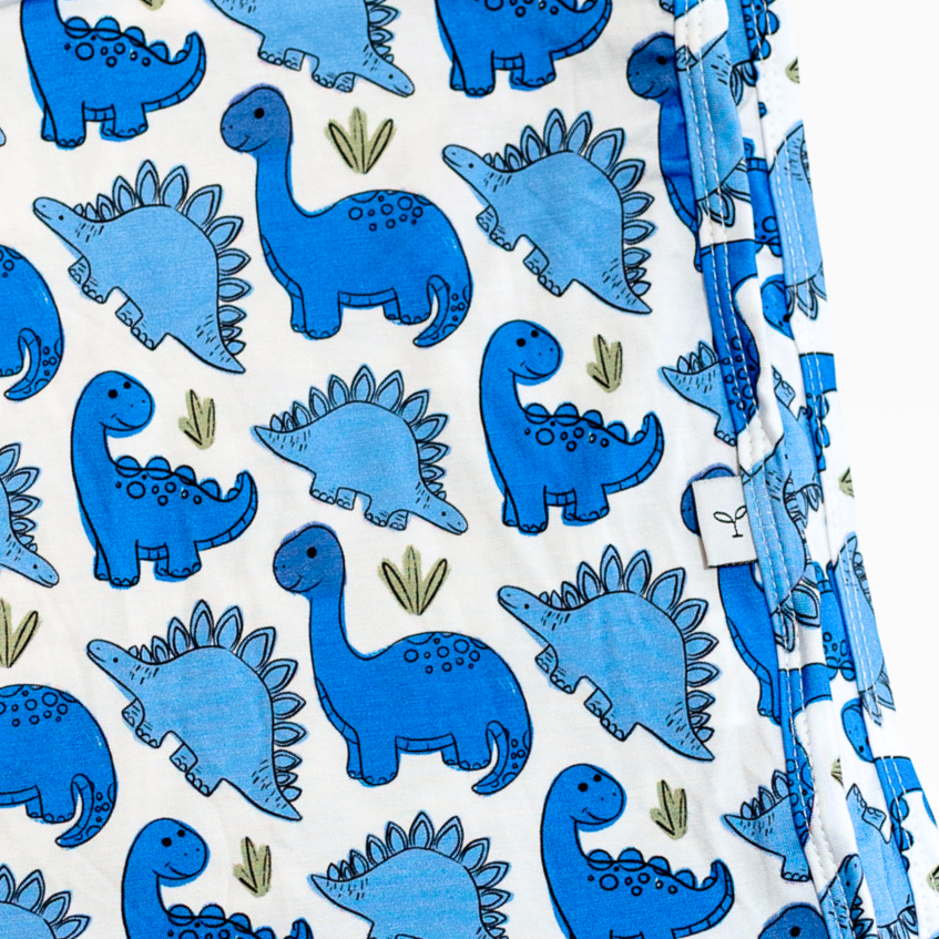 Baby Boy Gift Set - Dinos (Receiving Blanket and Zippy)